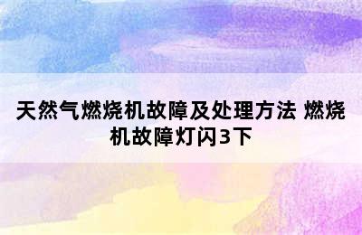 天然气燃烧机故障及处理方法 燃烧机故障灯闪3下